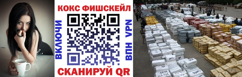 Купить закладки  Демидов  Кокаин Эквадор 
