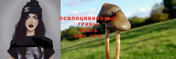 метадон Медвежьегорск