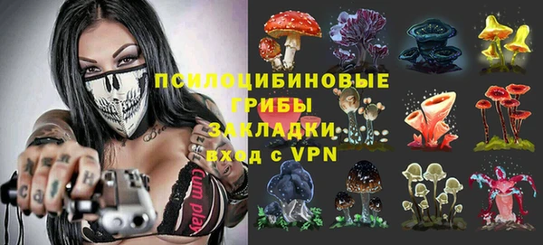 метадон Медвежьегорск