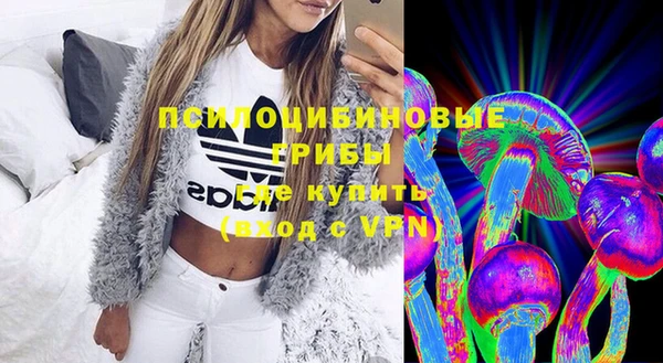 бутират Мегион