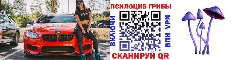 Галлюциногенные грибы Psilocybe  Купить  Демидов 